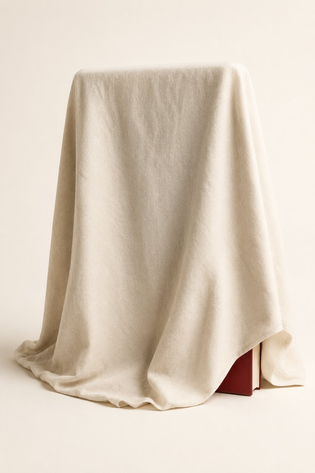 A covered book awaiting its August reveal
